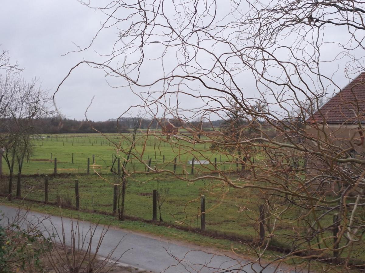 Gnaden- Und Ferienhof Saale Wittgenstein In The Middle Of Gar Nix Bismark Zewnętrze zdjęcie